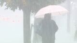 「大きい音を立てながら激しい雨が」台風10号接近の影響で静岡県内で大雨続く 牧之原市に一時「緊急安全確保」 | 静岡のニュース | SBSNEWS | 静岡放送