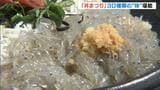 和歌浦漁港『丼まつり』地元海産物を使った約３０種類ずらり！釜あげ＆生「わかしらす丼」が特に人気　和歌山市|TBS NEWS DIG