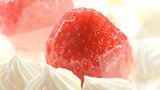 クリスマスケーキの予約開始もイチゴが不足?「どうにか蕾が見えている状態」 猛暑が影響…意外なワケ=静岡|TBS NEWS DIG
