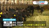 肉用牛の飼養農家が10年間で約4割減…百条委員会設置の行方は 鹿児島 | 鹿児島のニュース|MBC NEWS|南日本放送