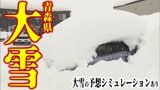 【雪の予想・30日午後9時半現在】「本当に災害だ」捨て場のない雪・救急車両の事故発生・JRは100本以上が運休… 一時積雪167cm観測の青森市 市民から悲鳴 大雪シミュレーションで見る最新予想は?|TBS NEWS DIG