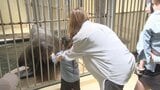 トドやカマイルカにえさやり体験！ 伊豆・三津シーパラダイスで子どもたちが海の動物と触れ合い|TBS NEWS DIG