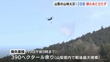 山梨・扇山の山林火災 大月市内で延焼続き鎮火のめど立たず 県内で“戦後最大”の被害見込み|TBS NEWS DIG