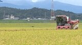 岩手県内の水稲刈取り進捗率は68% 平年に比べて早いペース|TBS NEWS DIG