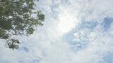 大月37.4℃、甲府37℃と観測6地点で35℃を超える猛暑日 一方夜遅くにかけて雷を伴う激しい雨か 山梨 | 山梨のニュース | UTYテレビ山梨