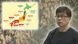 「春を先どりアラカルト」今年は多い?少ない?対策は?花粉症の季節到来 専門家に聞く 岩手|TBS NEWS DIG