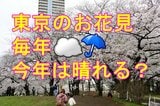 【サクラ情報2026】東京でサクラ開花 平年より5日早い なぜか東京のサクラ見頃は近年曇りや雨続き 2026年のお花見天気は? | 宮城のニュース│tbc NEWS│tbc東北放送