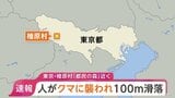 【速報】「コグマに襲われて100mほど滑落し足をけがしている人がいる」東京・檜原村「都民の森」付近で通報 1人けが 警視庁などが救助活動中|TBS NEWS DIG