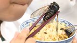 「シンプルにおいしかった」子どももびっくり 食糧難時代の“救世主”⁉セミを食べてみた|TBS NEWS DIG