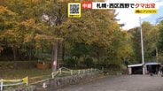 登校中の小学生が子グマ2頭を目撃 警察や市、ハンターなど周辺警戒 5つの小中学校が臨時休校になるなど影響が広がる  札幌市西区 | 北海道のニュース|HBC北海道放送