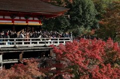 訪日旅行3割がキャンセル､経済損失年末までに1900億円－日中関係悪化| TBS CROSS DIG with Bloomberg