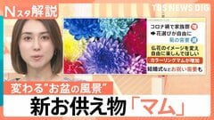 「夜のお墓参り」が新定番に？普段使いしたくなるお供え物「マム」って？らくがん“レンチン”で新食感【Nスタ解説】| TBS CROSS DIG with Bloomberg