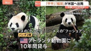 中国“パンダ外交”　オス「平平」とメス「福双」がアメリカへ出発　ジョージア州アトランタ動物園に10年間貸与| TBS CROSS DIG with Bloomberg