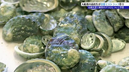 高校生が2025年の山林火災で死滅したアワビの貝殻を使い、ストラップ