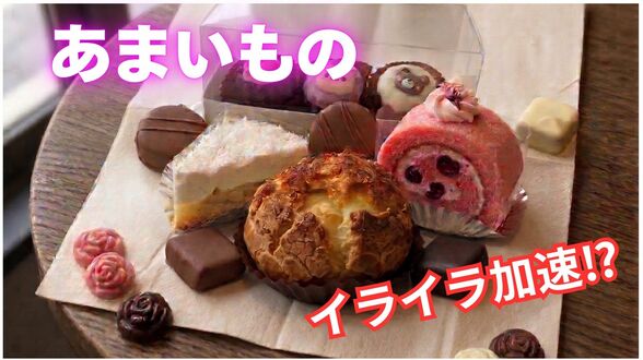 “疲れたら甘いもの”がイライラを加速？ 医師が指摘する「脳の落とし穴」と、メンタルを壊さない“おやつの心得”　|　富山のニュース｜天気・防災｜チューリップテレビ