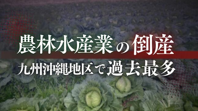 九州の農林水産業の倒産28件　過去最多に　「円安」「物価高」「人件費の高騰」が食の安全保障、直撃|TBS NEWS DIG