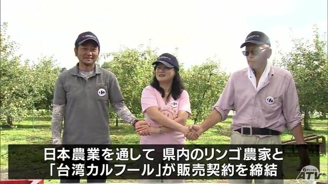 青森県のリンゴ農家が「台湾カルフール」と販売契約　販路拡大で連携　青森県|TBS NEWS DIG