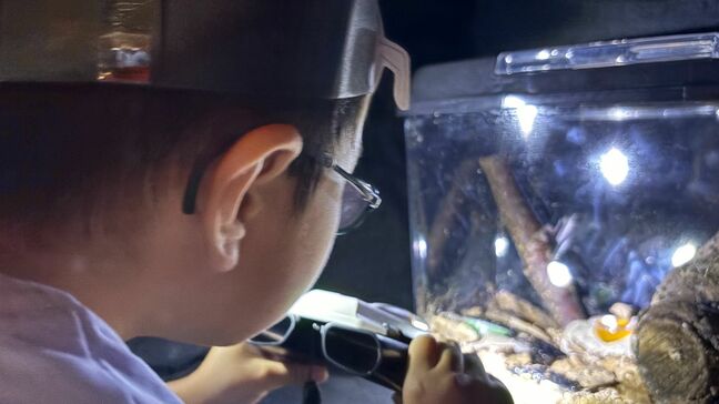 “クワガタ”で交通事故防止!?夏休み前に園児たちが“光るクワガタ”で交通安全を学ぶ|TBS NEWS DIG