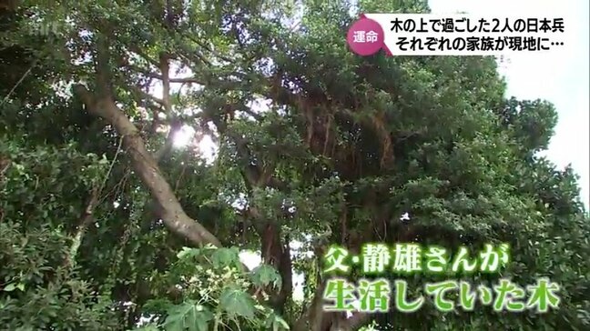 映画「木の上の軍隊」モデルとなった日本兵2人の家族　伊江島での出会い|TBS NEWS DIG