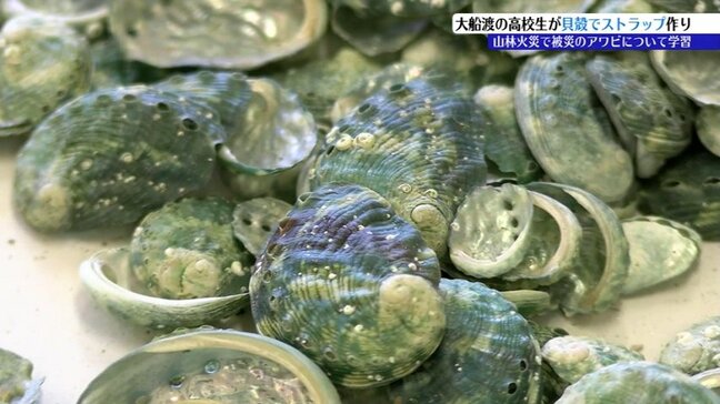 高校生が2025年の山林火災で死滅したアワビの貝殻を使い、ストラップづくり 岩手・大船渡市|TBS NEWS DIG
