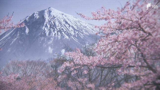 最優秀賞は金融機関のカレンダーに採用… 富士山フォトコンテストを開催＝静岡・沼津市|TBS NEWS DIG