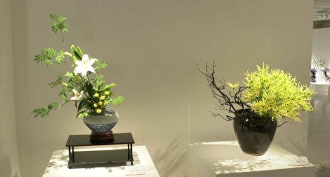 能登への思いを込めて 総合花展金沢展が開幕|TBS NEWS DIG