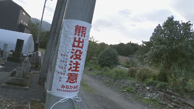 【速報】群馬・みなかみ町でクマ被害相次ぐ　犬の散歩をしていた76歳女性もクマに襲われけが　左耳などをひっかかれる|TBS NEWS DIG