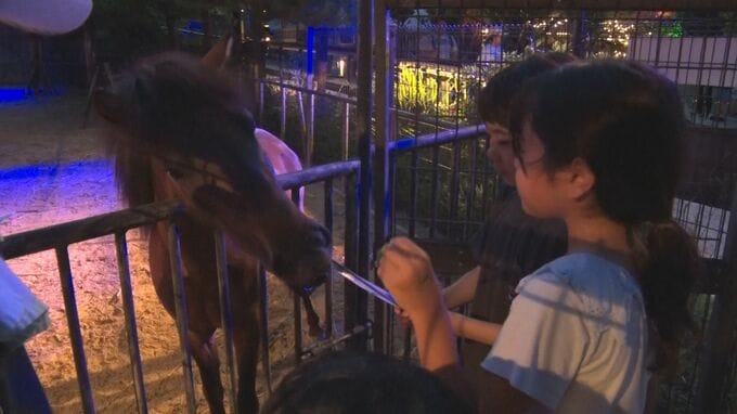 夜の動物園を楽しむ「NIGHT ZOO」7月20日から沖縄こどもの国で実施　|　沖縄のニュース｜RBC 琉球放送
