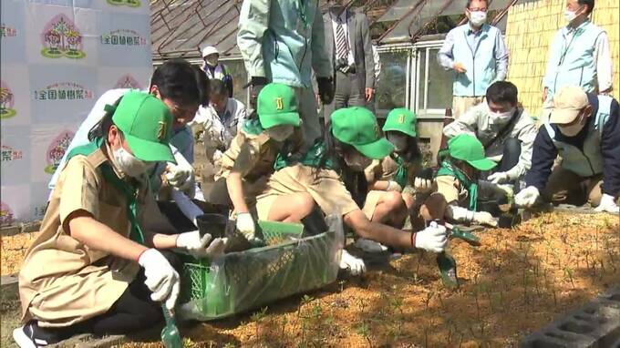 全国植樹祭で岡山を訪れる人にプレゼント　後楽園を彩る樹木から育てた苗木の鉢上げ【岡山】|TBS NEWS DIG