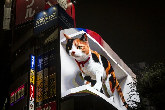 日本の猫ブーム、社会の変化映し出す－経済効果3兆円