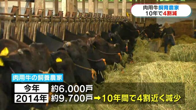 肉用牛の飼養農家が10年間で約4割減…百条委員会設置の行方は　鹿児島　|　鹿児島のニュース｜MBC NEWS｜南日本放送