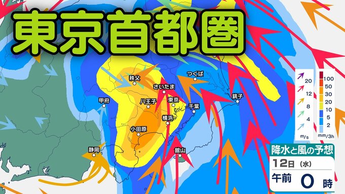 【東京首都圏】「台風15号」の影響は？「東京・神奈川・千葉・埼玉・茨城」お盆期間の15日（土）までの雨・風シミュレーション【気象庁10日午前4時41分発表】|TBS NEWS DIG