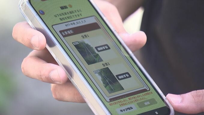 市民が電信柱を撮影して報酬ゲット　ゲーム感覚でインフラの点検ができる「ピクトレ」　利用を呼びかけ　盛岡市|TBS NEWS DIG
