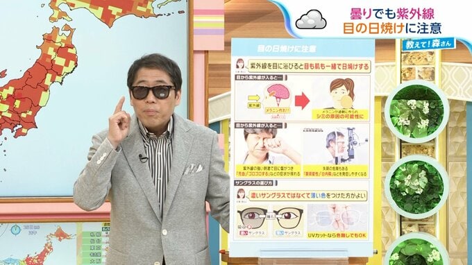 “目”も日焼けする！？「濃ければいいわけじゃない」サングラス選びのポイント【ひるおび】|TBS NEWS DIG