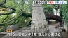 「子どもが遊ぶ場所なので怖い」公園で約15メートルのエノキ倒木　けが人なし　そばの国鉄原爆慰霊碑には被害なし　広島市　|　RCC NEWS | 広島ニュース | RCC中国放送