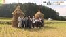 ツルの隠れ場にも･･･児童が「わらのう」づくり　本州唯一のナベヅルの越冬地・山口県周南市　|　山口のニュース・天気・防災｜tys NEWS｜ｔｙｓテレビ山口
