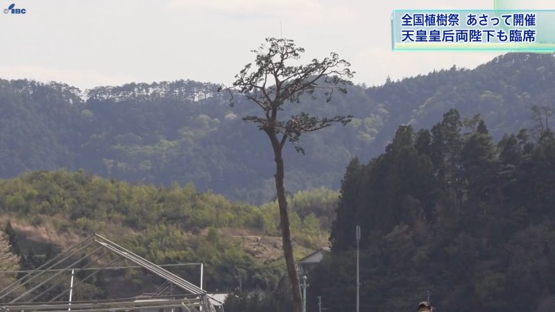 4日に陸前高田市で全国植樹祭 49年ぶりの岩手開催 高田松原で震災からの復興も発信 | TBS NEWS DIG