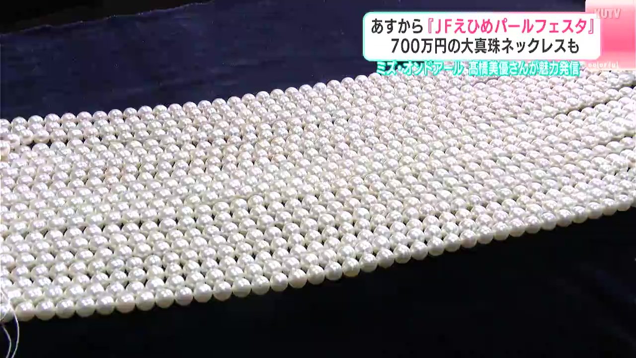 6日から『JFえひめパールフェスタ』700万円の大真珠ネックレスも ミズ 