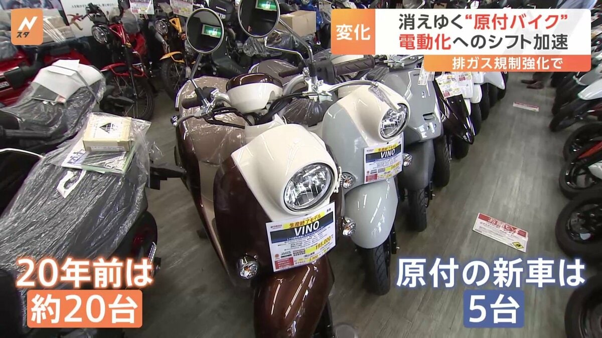 しょうがく社  ２年生 第１期（３ヶ月分）の未使用品☆ 小学部】トップ