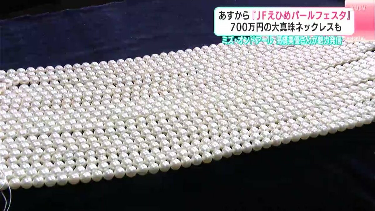 6日から『JFえひめパールフェスタ』700万円の大真珠ネックレスも ミズ 