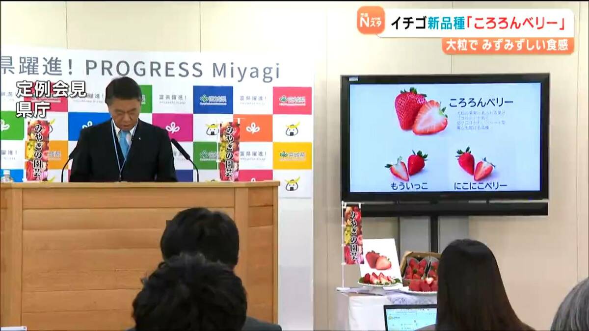 断面がハートになるイチゴ新品種「ころろんベリー」誕生 他県との競争