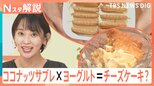 ココナッツサブレ×ヨーグルト=チーズケーキ? さらに「レモン果汁」と「はちみつ」を加えると…【Nスタ解説】|TBS NEWS DIG