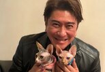 【 川﨑麻世 】新しい家族の愛猫が妹と再会「お互いにまだ覚えていて　ずっとくっついてました」|TBS NEWS DIG