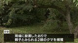 岐阜・高山市でクマ2頭捕獲 親子か　おととい75歳男性がクマに襲われ大けがをした現場で|TBS NEWS DIG