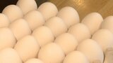 「このトレンド続けば350円も考えられる」どうなる卵の価格 鳥インフルエンザの流行で | 福岡のニュース|RKB NEWS|RKB毎日放送