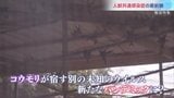 次のパンデミックはどこから…「人獣共通感染症」防ぐ最前線ガーナで独自取材 “コウモリ研究施設”にブッシュミートの危険性も【報道特集】|TBS NEWS DIG