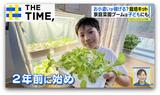 子どもにも“家庭菜園ブーム”「お小遣いが稼げる」3万円超栽培キットとは?【THE TIME,】 |TBS NEWS DIG