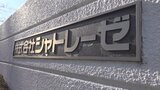 シャトレーゼ製造の菓子にカメムシ　包装する工程で混入か|TBS NEWS DIG