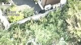麻酔銃2発当たるも姿見えなくなり...山形市の住宅街などで目撃のクマ 未だ見つからず警戒続く(山形) | 山形のニュース│TUYテレビユー山形