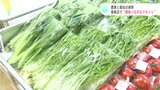 農業✕福祉 障がい者就労支援施設の利用者らが生産した農産物など販売 | 高知のニュース・天気|KUTV NEWS | KUTVテレビ高知